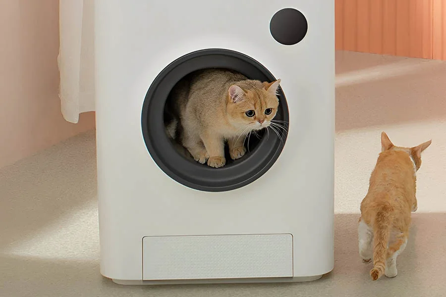 the best cat litter boxes