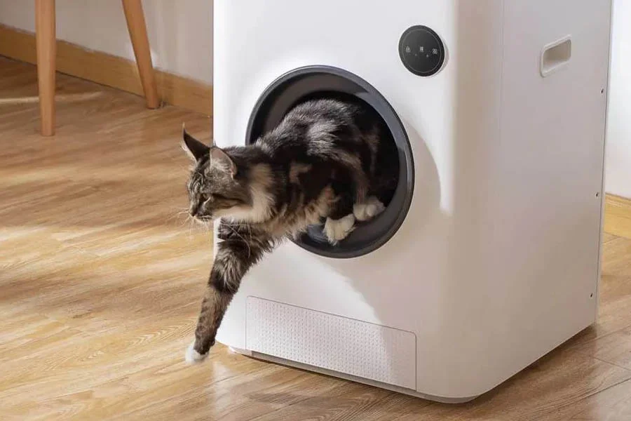 cat robot litter