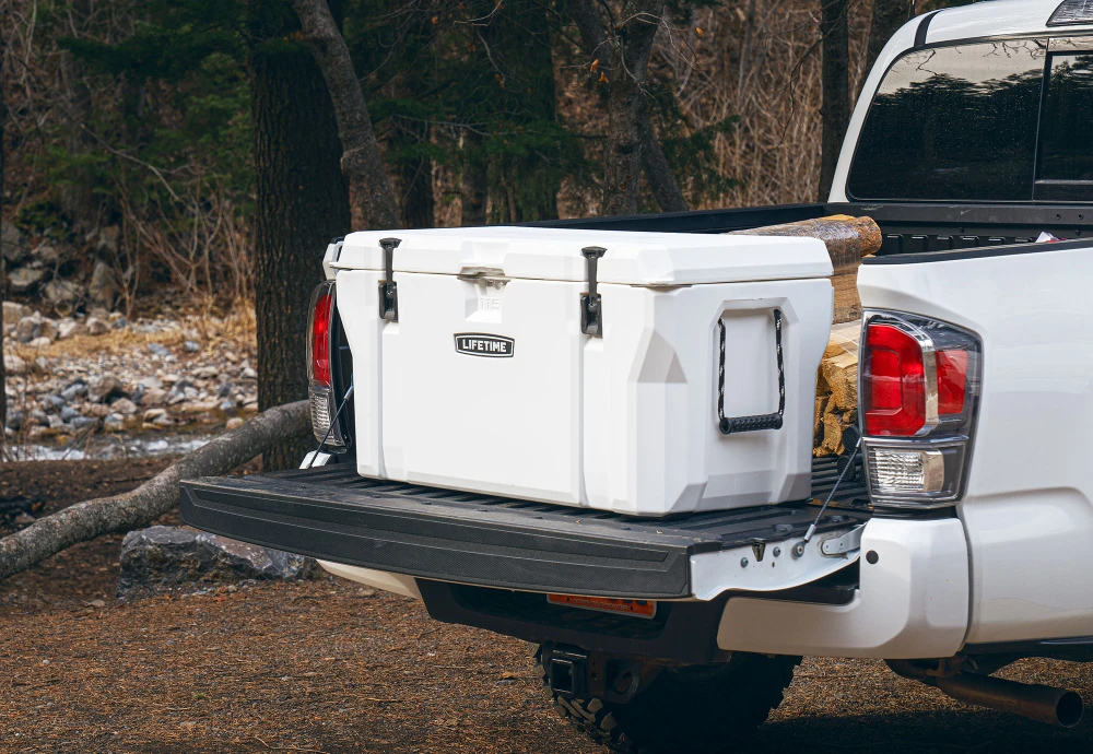 beer ice chest cooler