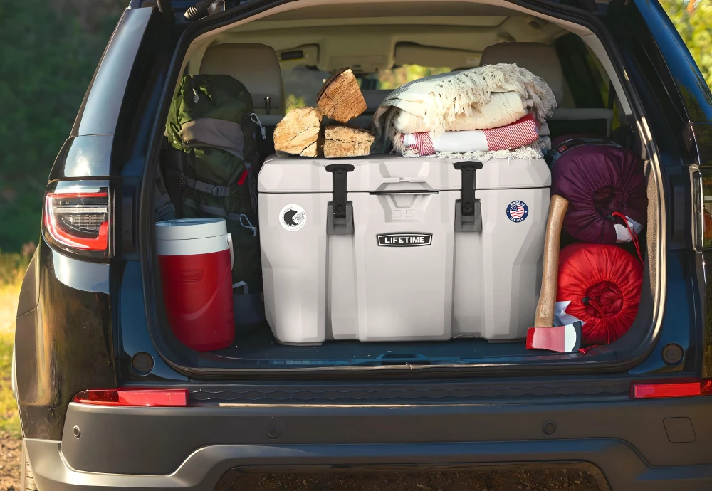 portable cooler box for car