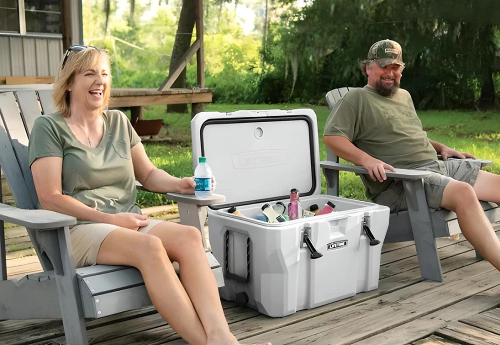 portable cooler box for car