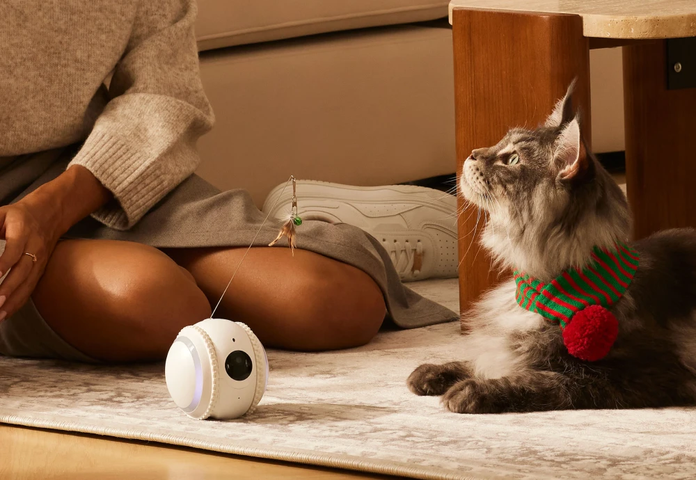 robot camera for pets